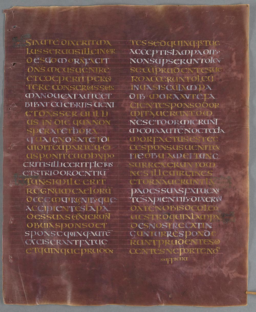 Text på latin i två spalter på purpurfärgat pergament.