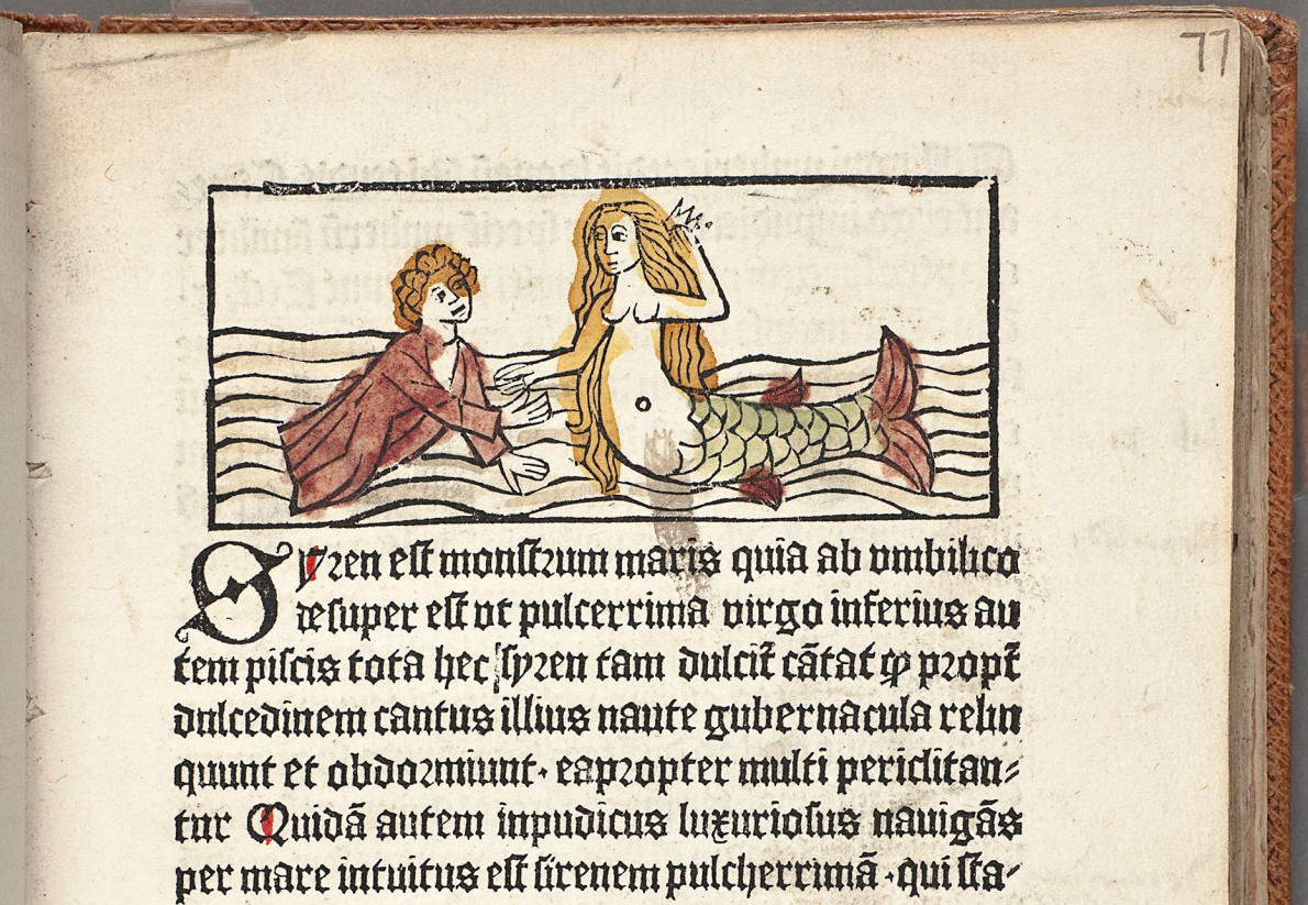 Dialogus creaturarum, 1483, Sjöjungfru. Foto: KB