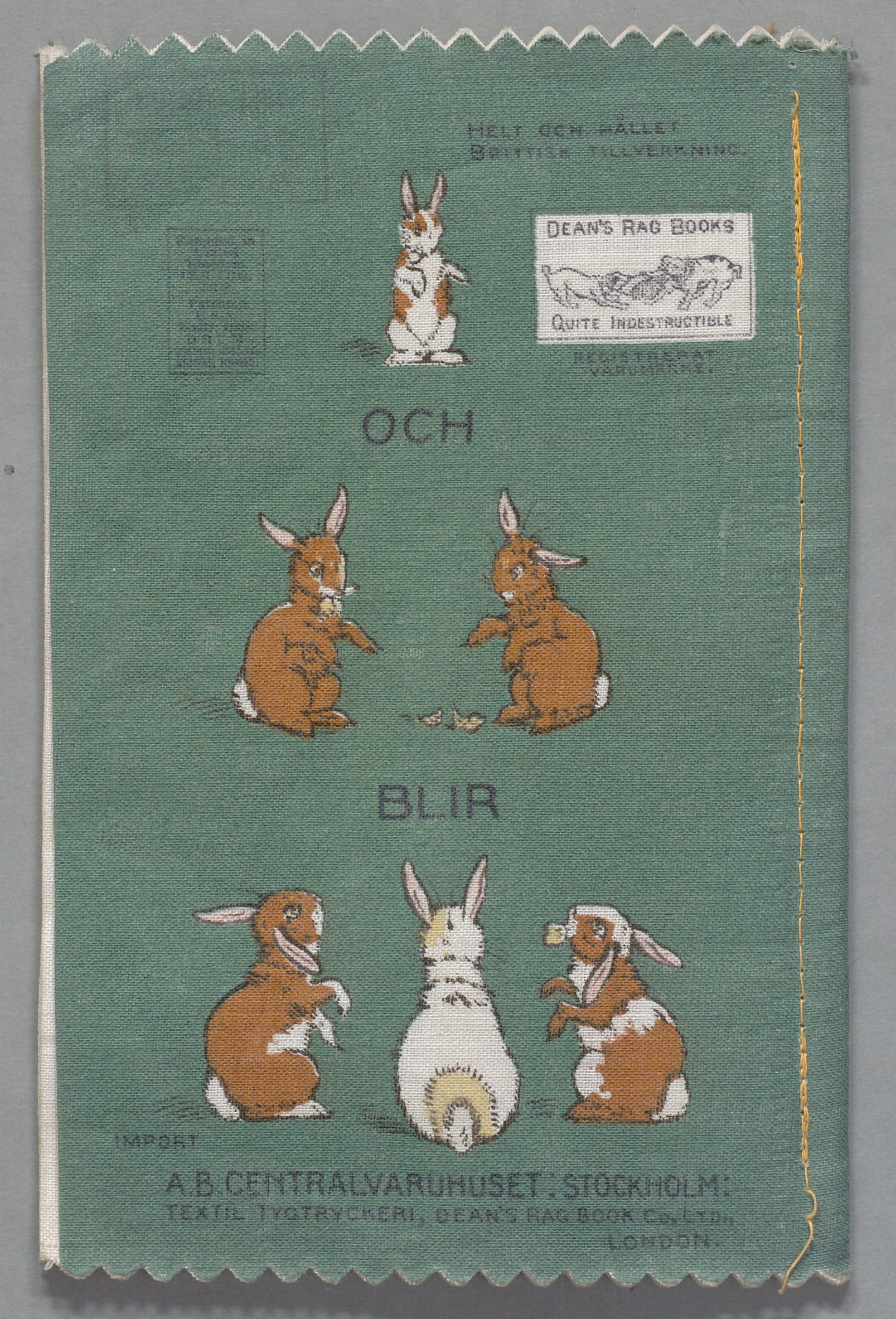 Rag book fem kaniner. Foto: KB