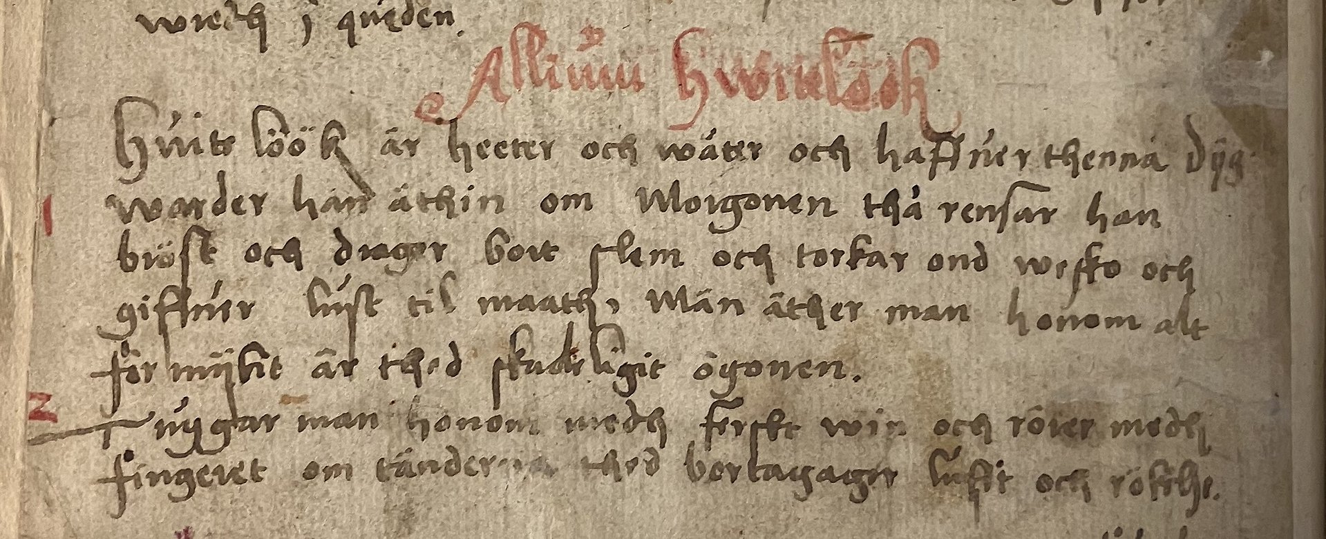 Färgfoto med några rader handskriven text i svart och rött bläck på gulnat papper.
