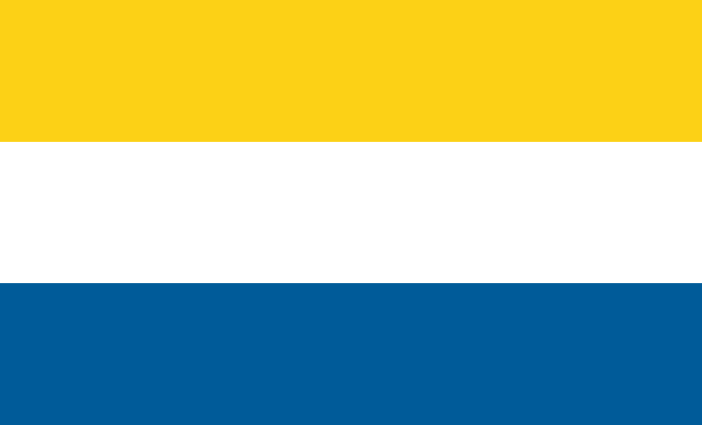 En flagga i gult, vitt och blått i horisontellt.
