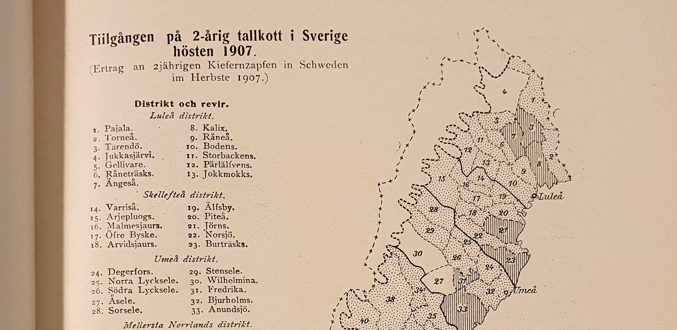 Foto av detalj av boksida med tabell och karta som visar resultatet av en inventering av kottar i norra Sverige.