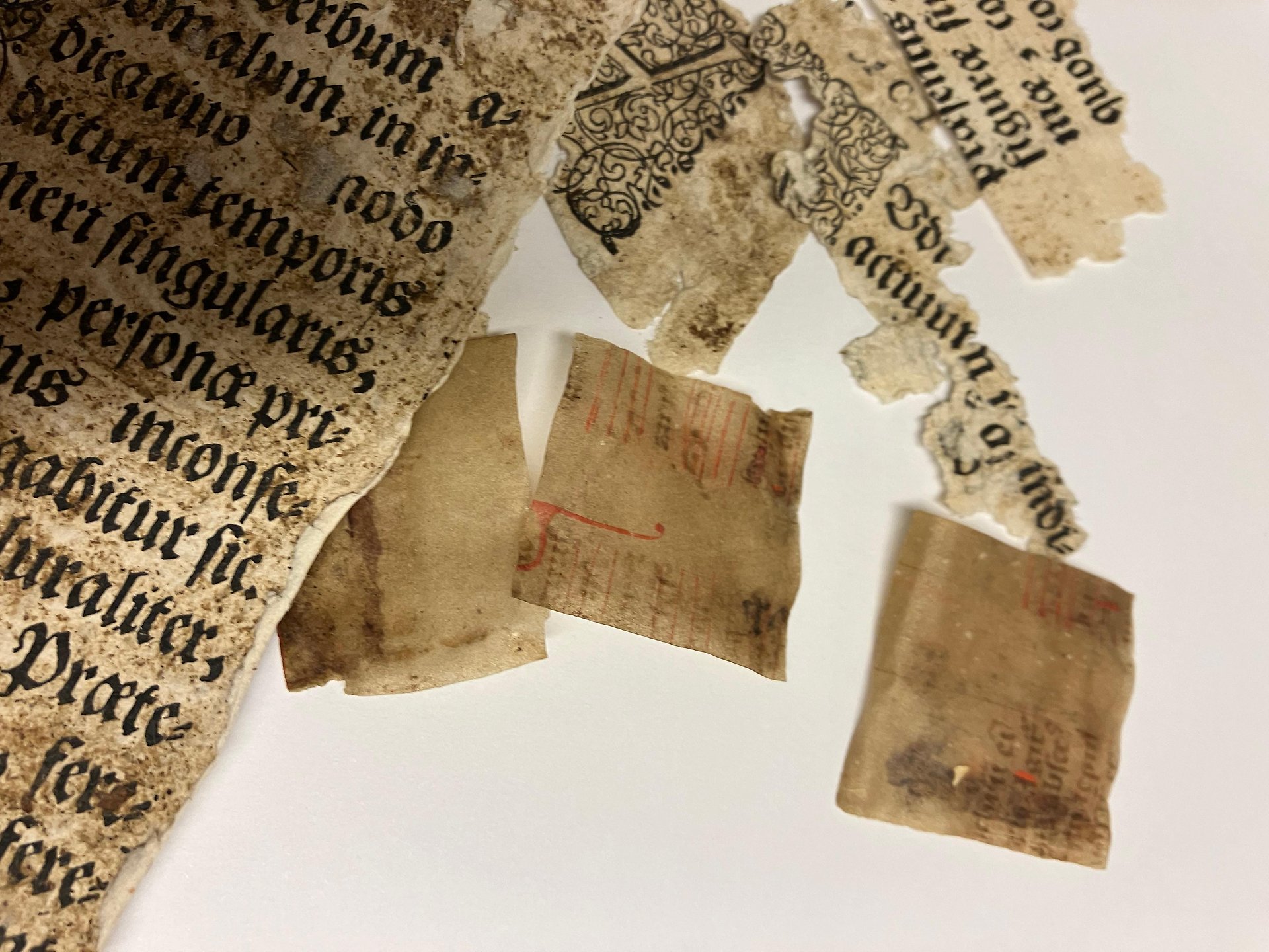 Foto av blandade fragment av papper och pergament.