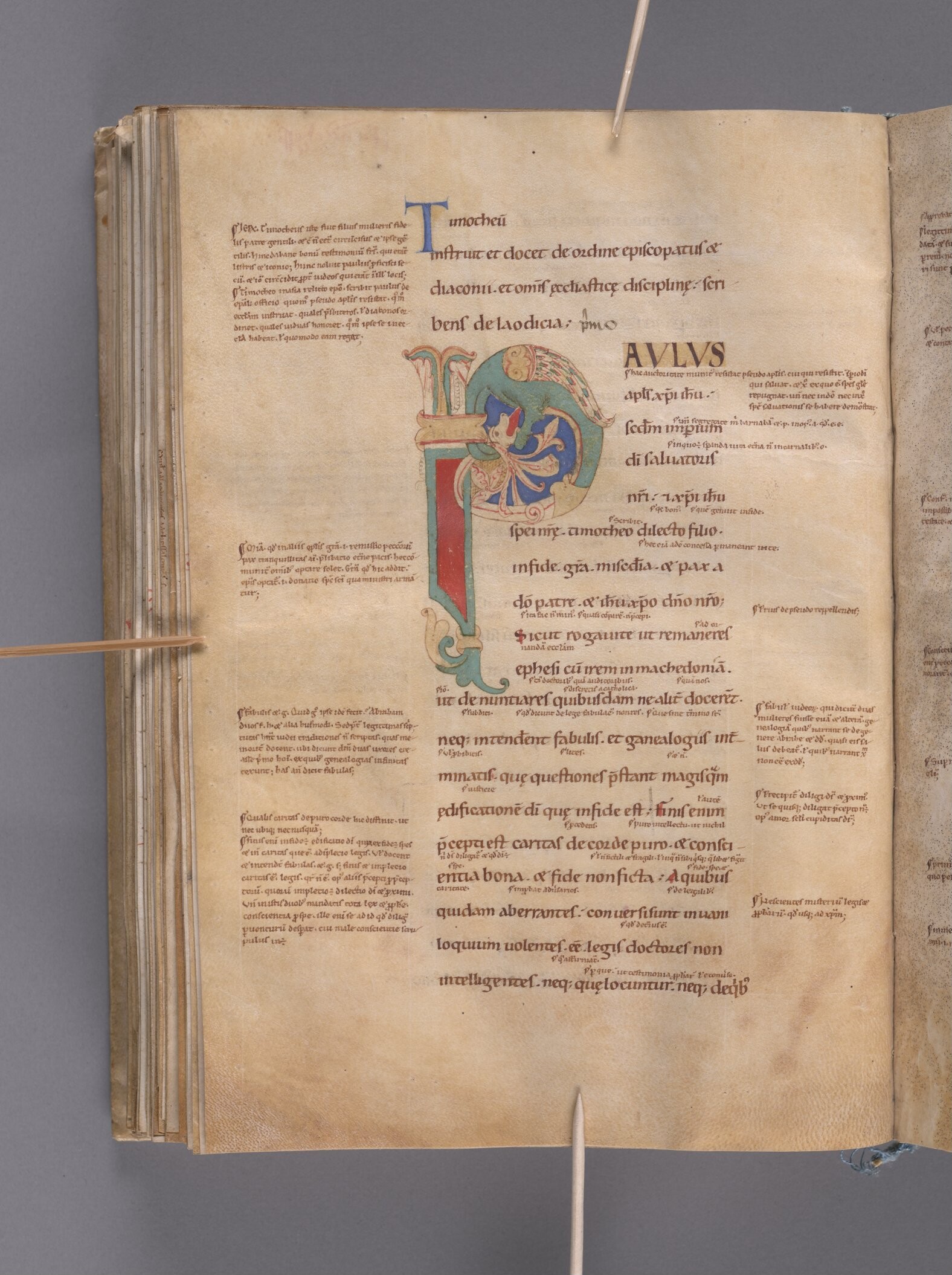 Färgfoto av gulnat blad med text med en färgglad anfang.