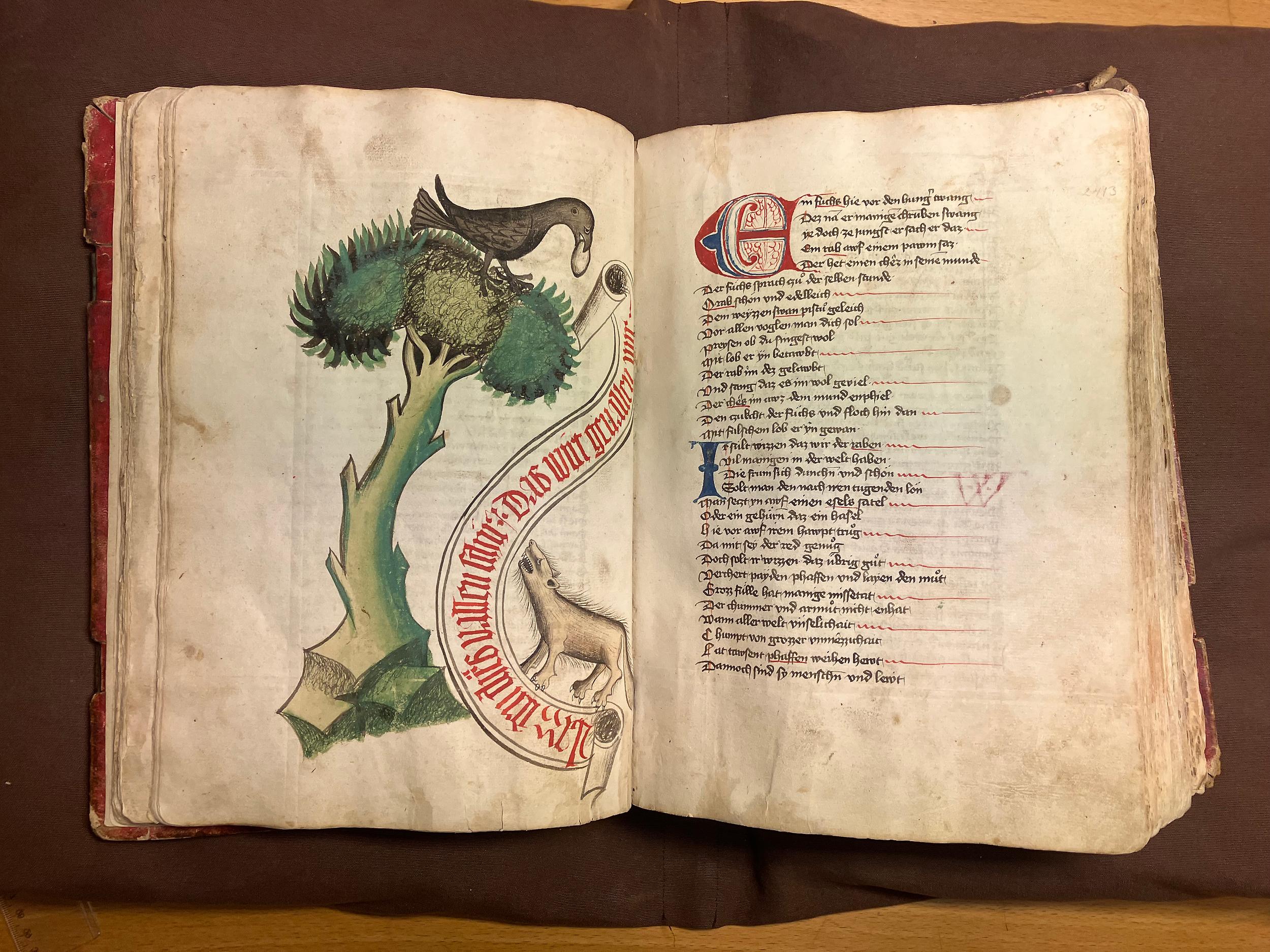 Färgfoto av en uppslagen handskrift där den vänstra sidan föreställer en fågel på en grön växt