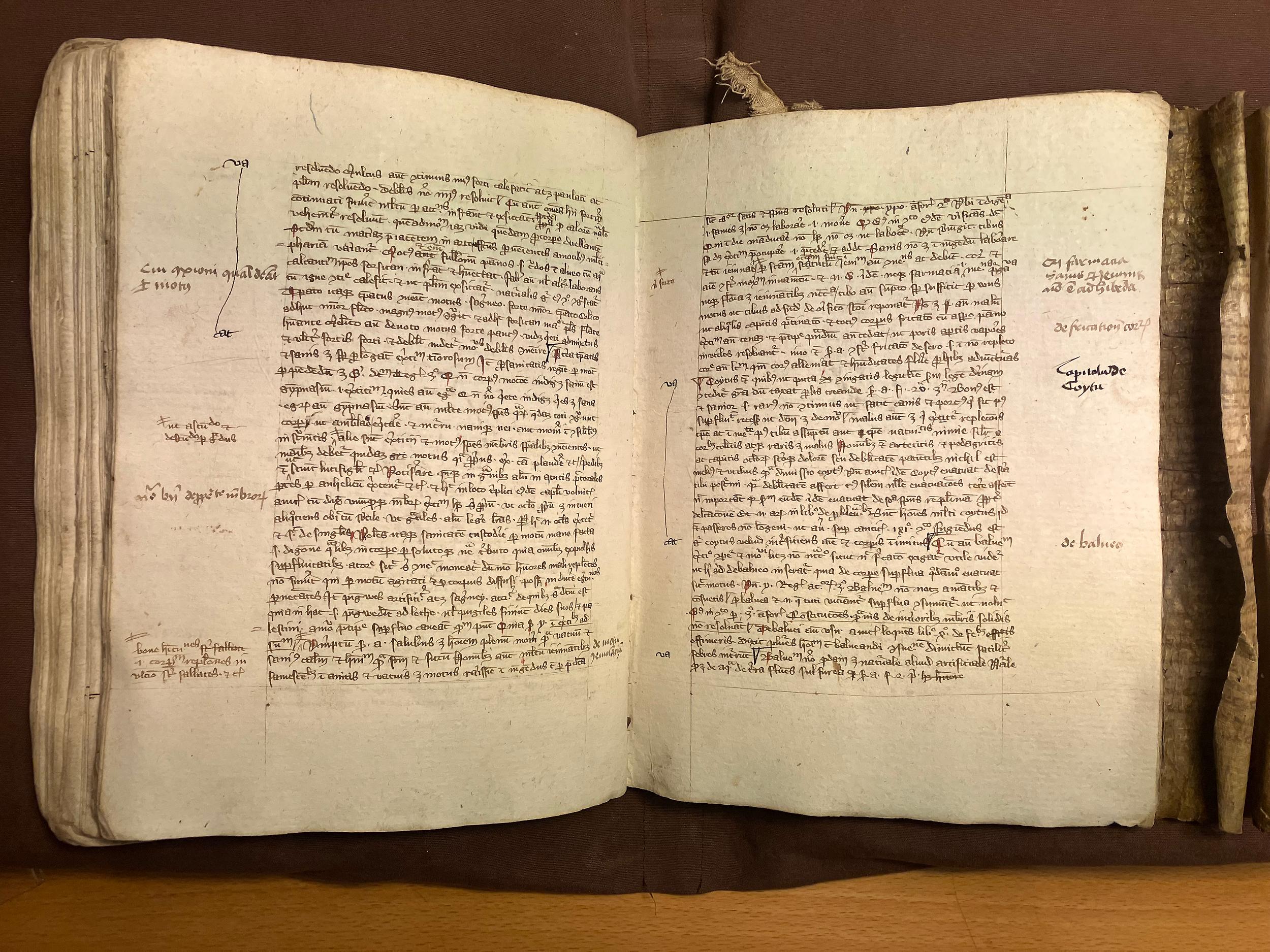 Färgfoto av uppslagen handskrift