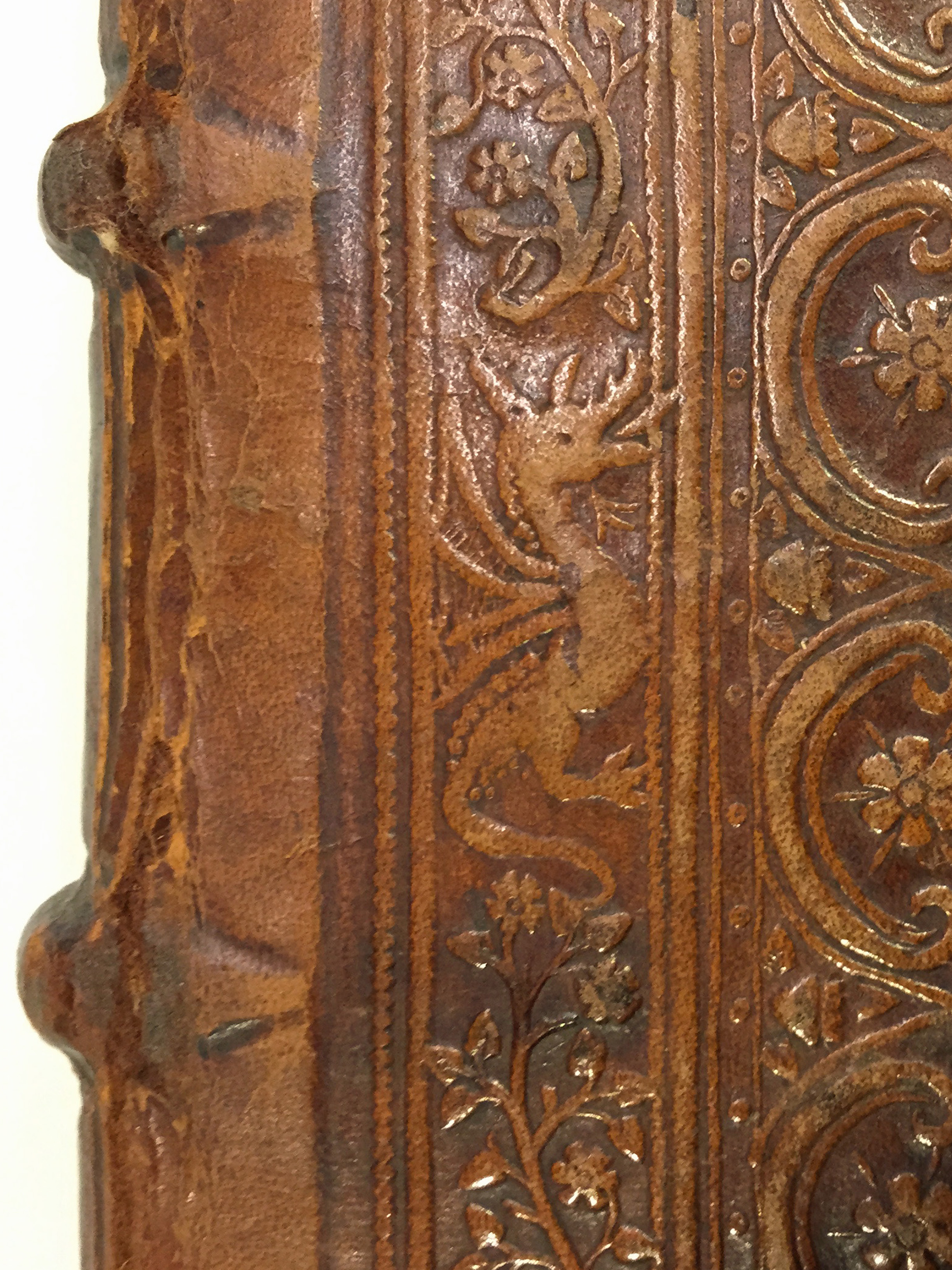 Bokband, detalj av drake. Foto: KB