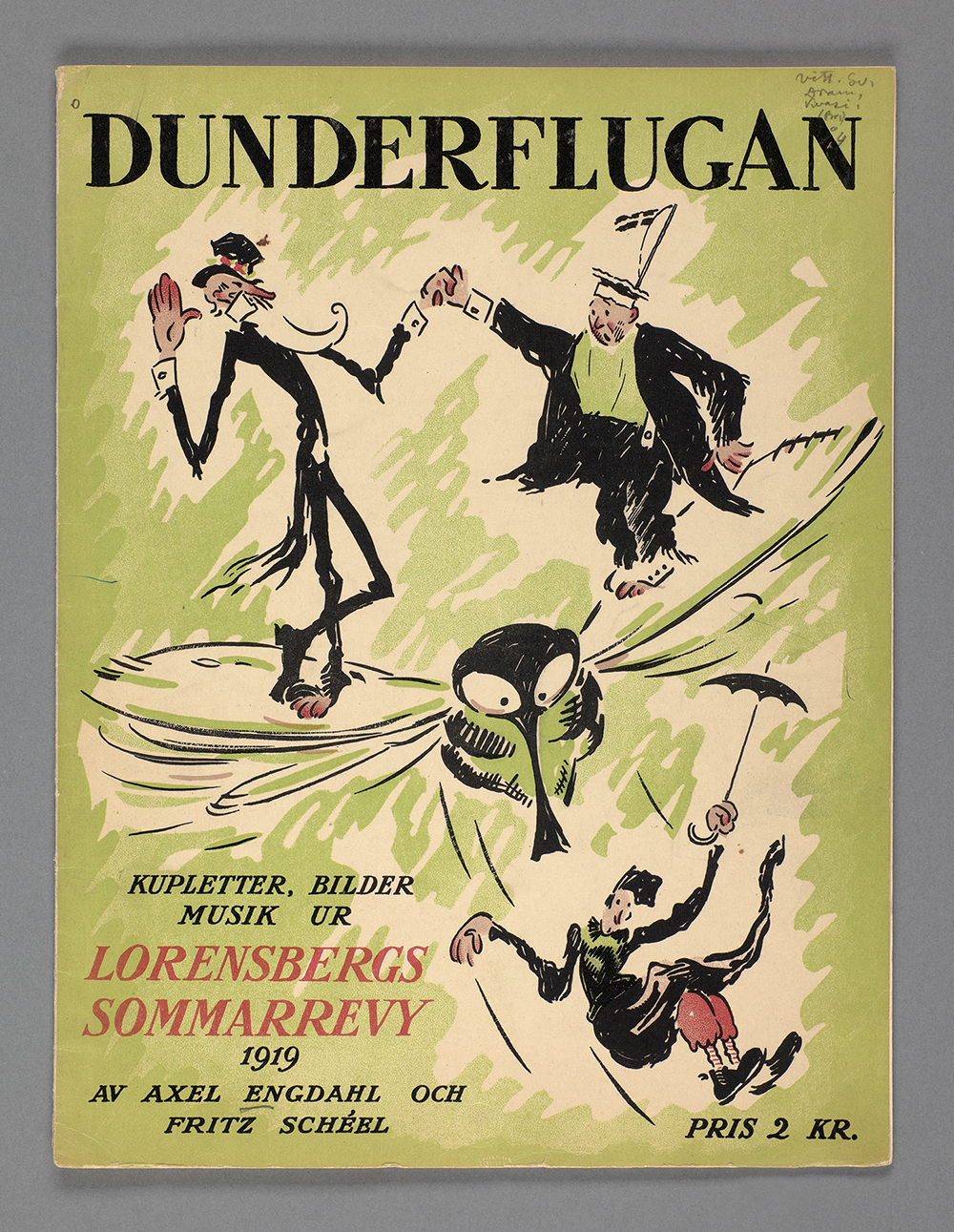 Tecknat bokomslag med titeln Dunderflugan.