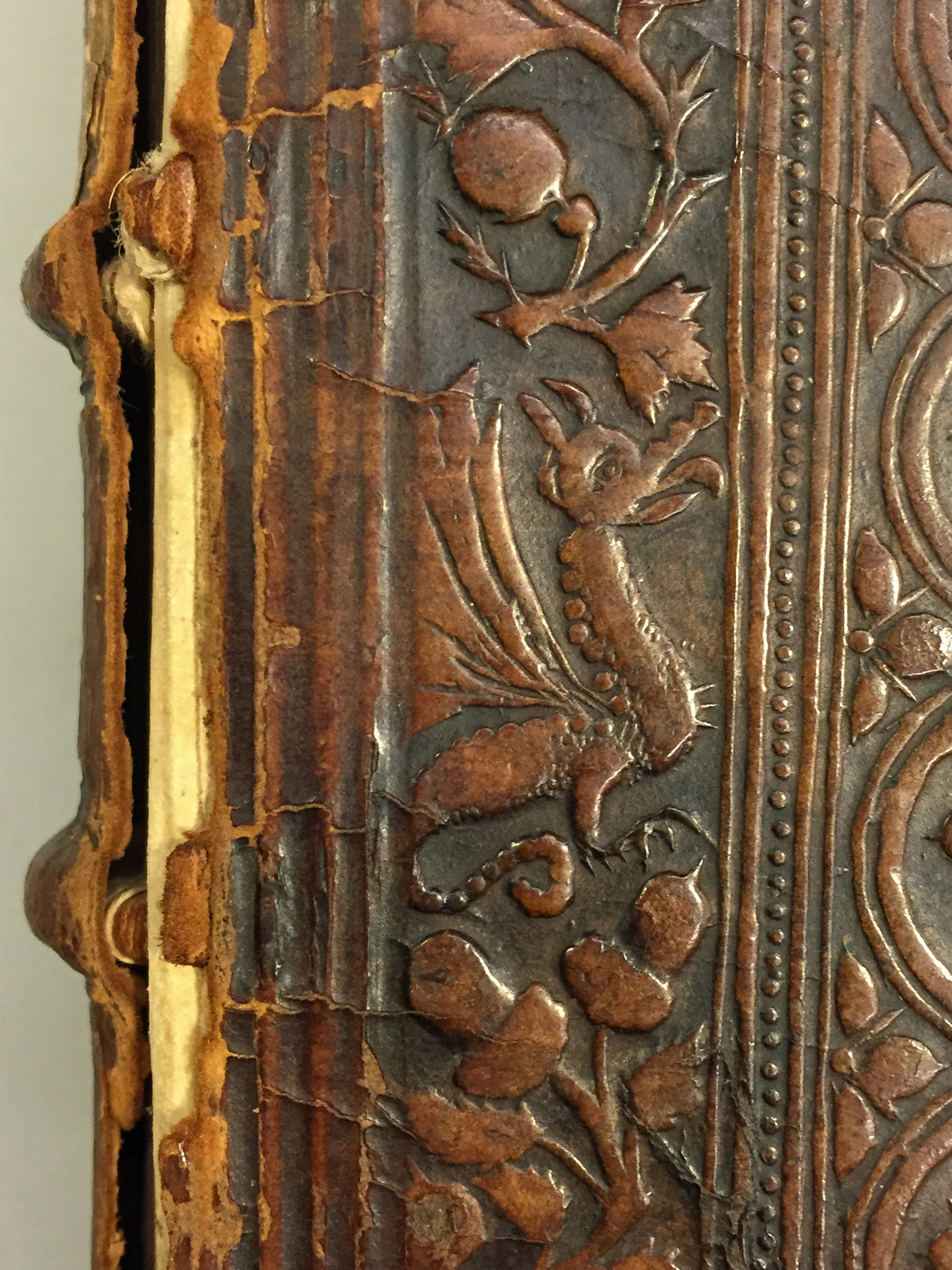 Detalj drake. Foto: KB