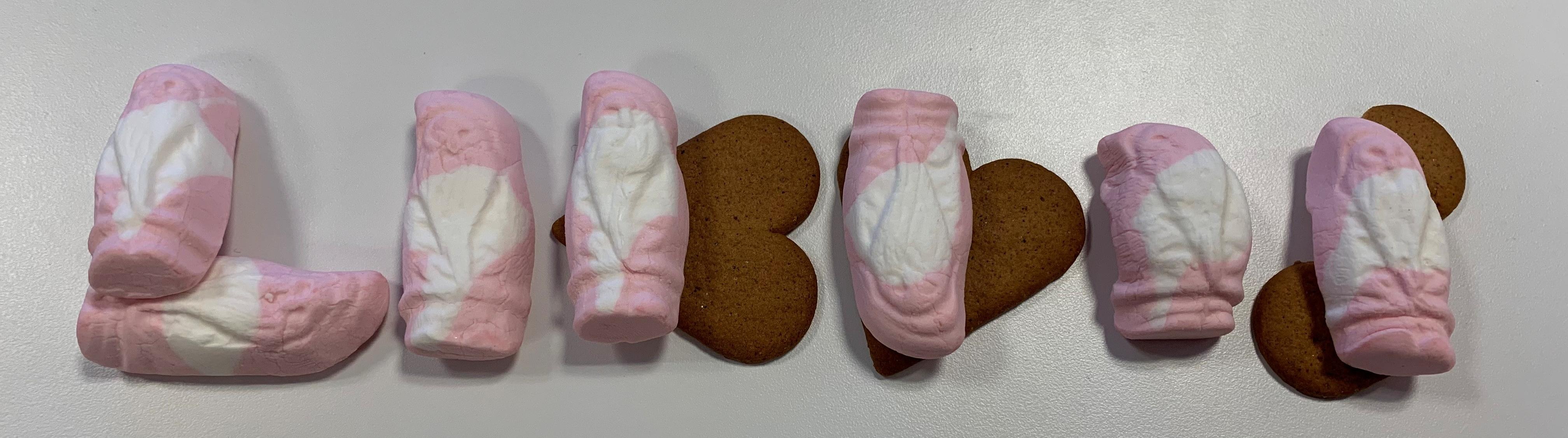 Pepparkakor och skumtomtar