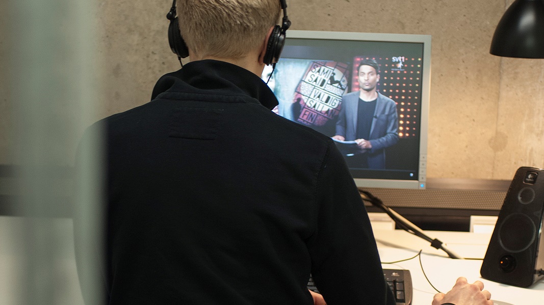 A person seen from behind watching television on a computer screen.