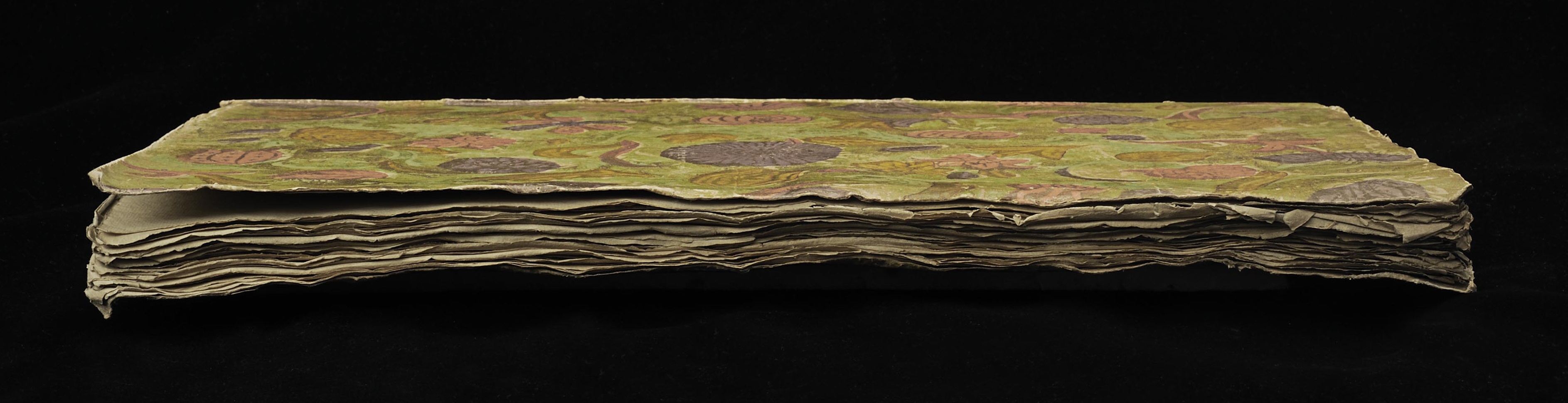 Ett oskuret boksnitt på en liggande bok med pappersomslag tryckt i klara färger.