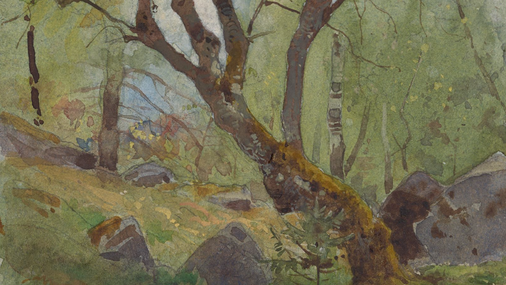En målning av en gammal skog med ett träd och stenar med mossa.
