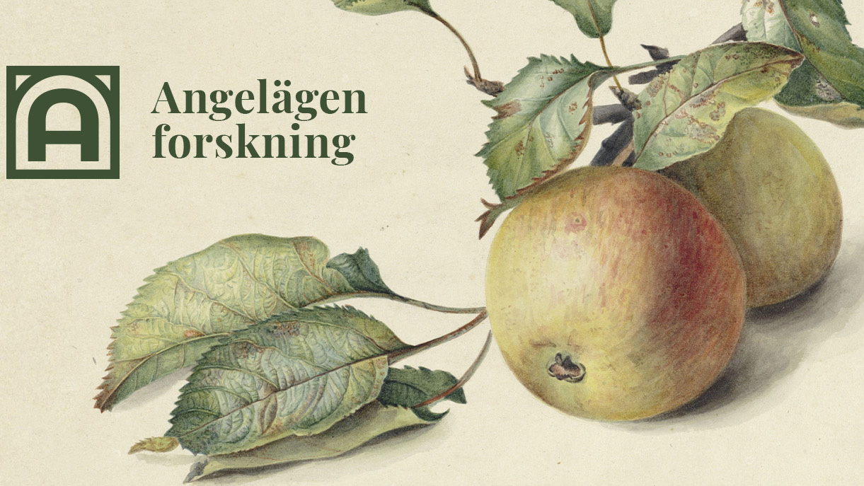 Illustrerade äpplen på en gren. Texten Angelägen forskning. Digitekets logotyp.