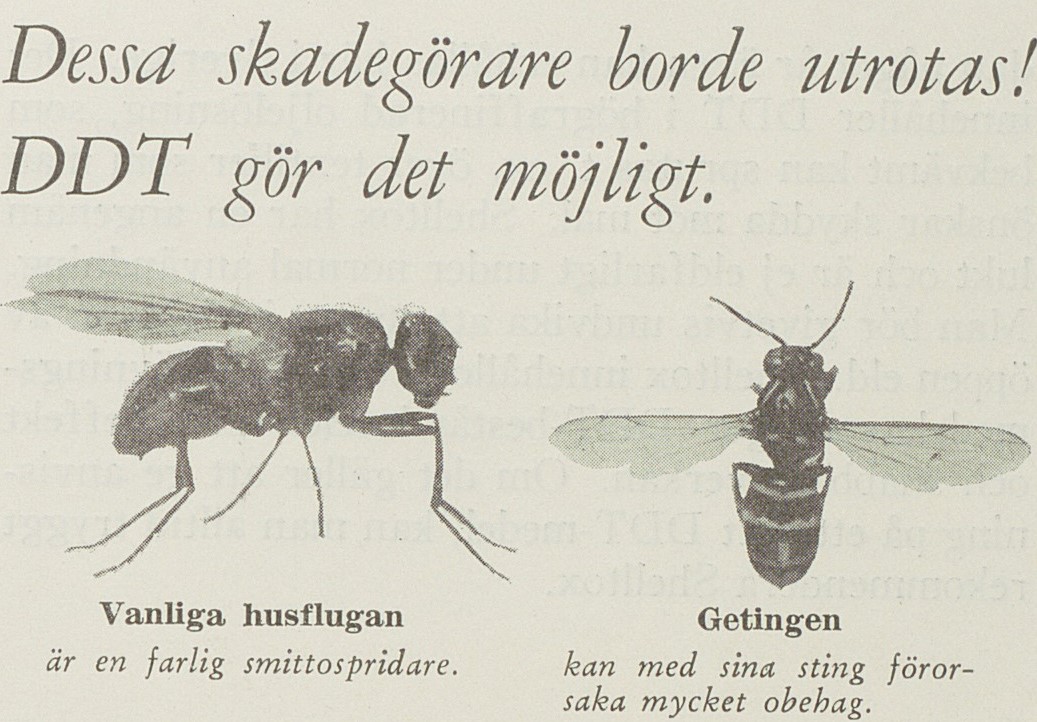 En fluga och geting i bild med texten: Dessa skadegörare borde utrotas! DDT gör det möjligt.