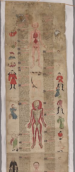 Avlång äldre handskrift med text i två kolumner omgärdade av flertalet illustrationer föreställande människor och människoskelettet.