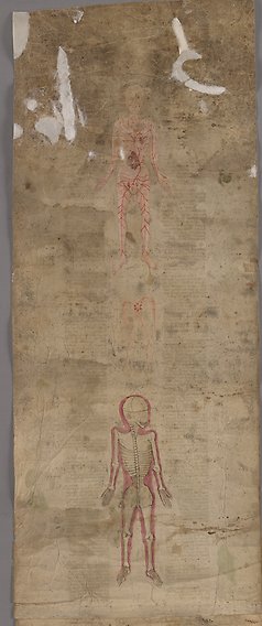 Avlång äldre handskrift med text i två kolumner med illustrationer föreställande människans blodomlopp och människoskelettet.