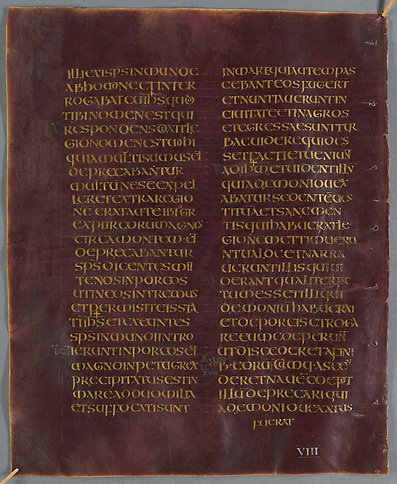 Purpurdränkt pergamentsida präntad med guld ur Codex Aureus från 700-talet