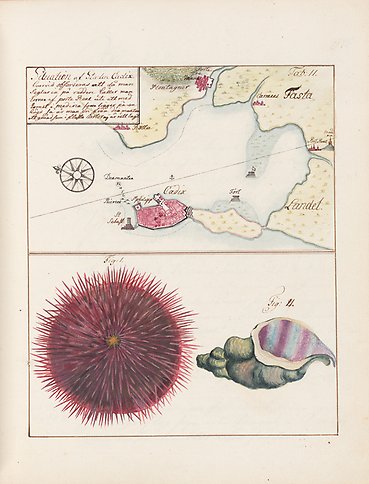 Illustration föreställande karta och sjödjur ur C. J. Gethes dagbok från resa till Ostindien 1746-1749.