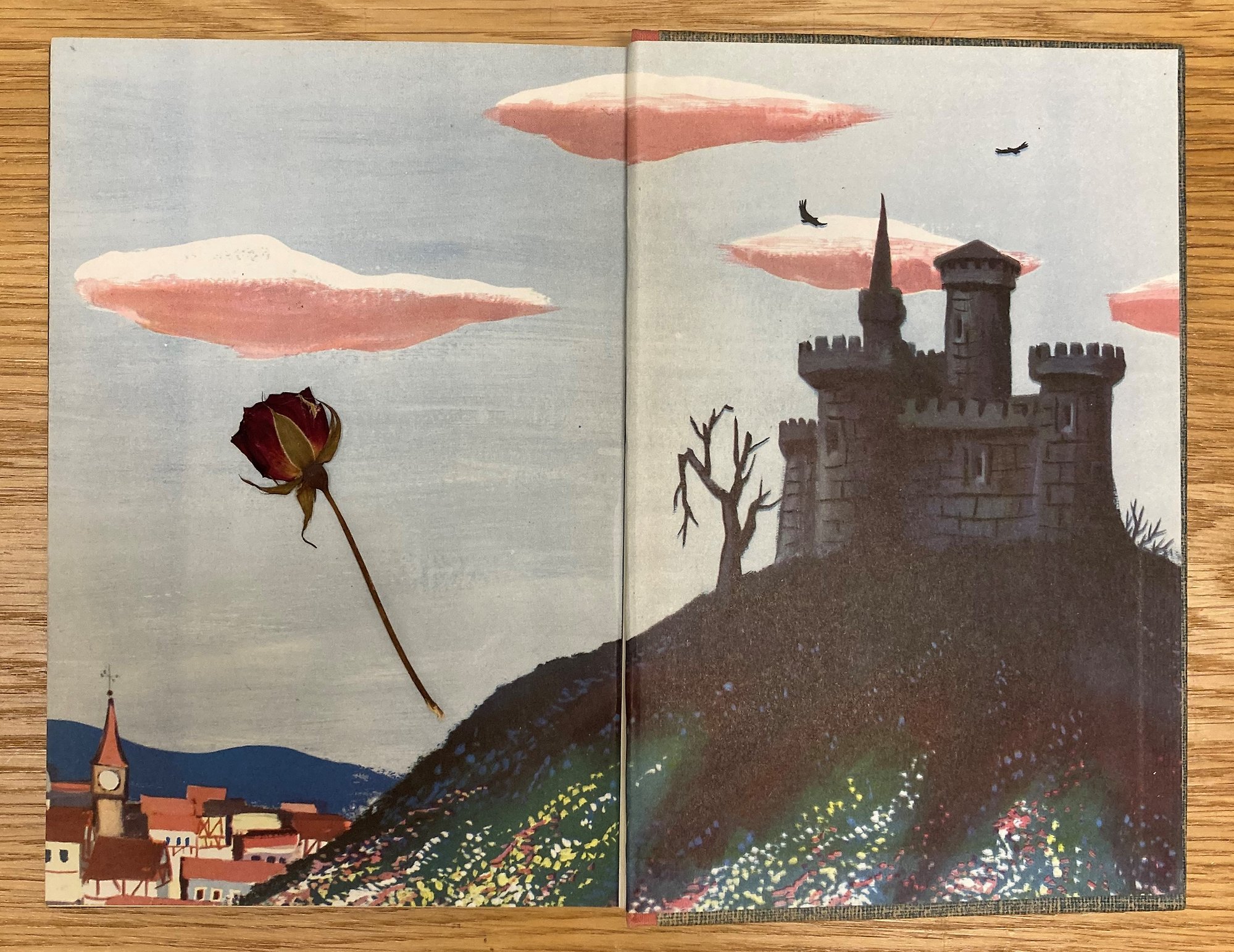 En pressad ros innanför pärmarna på en bok