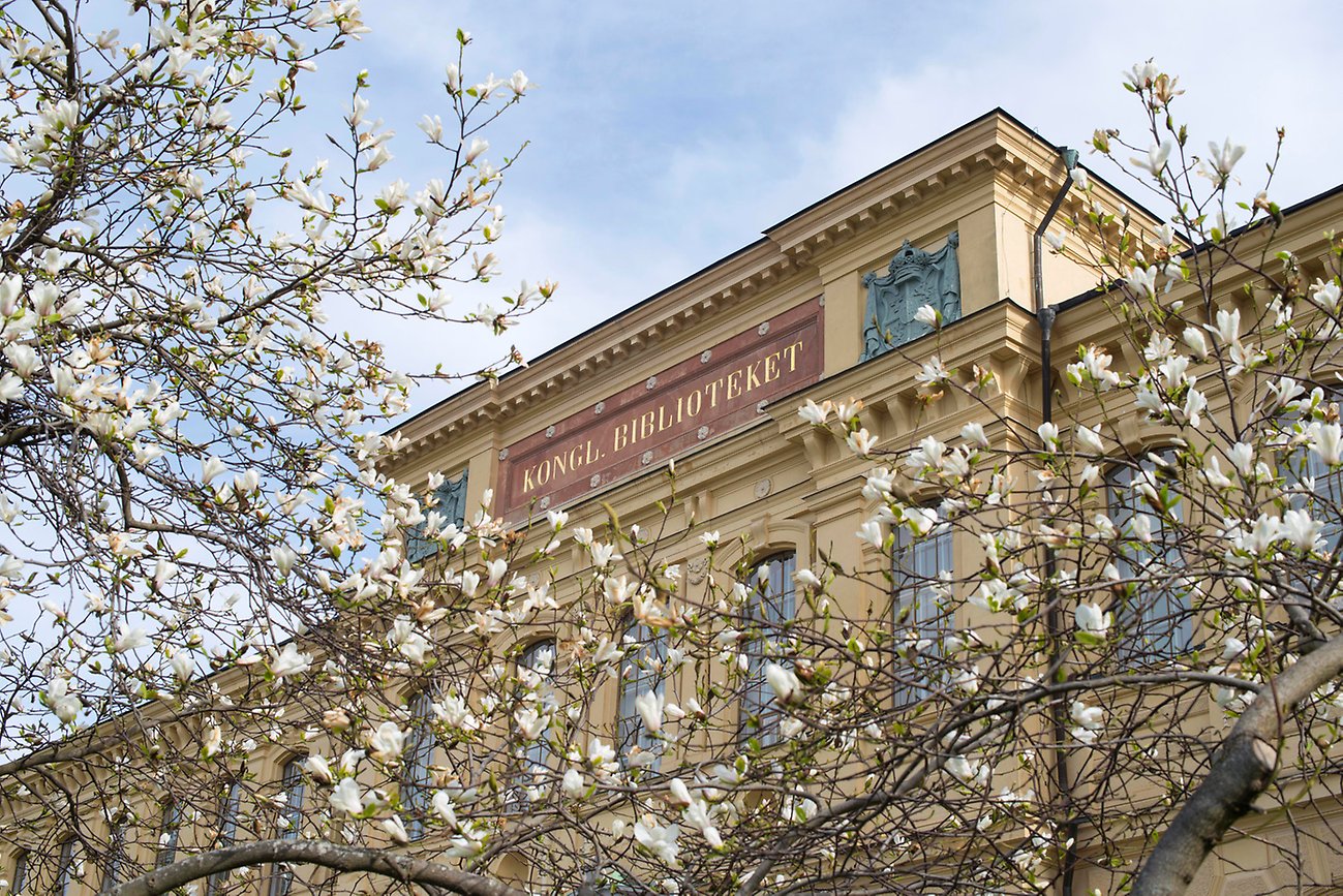 The façade of the National Library, with blooming magnolia in the foreground.