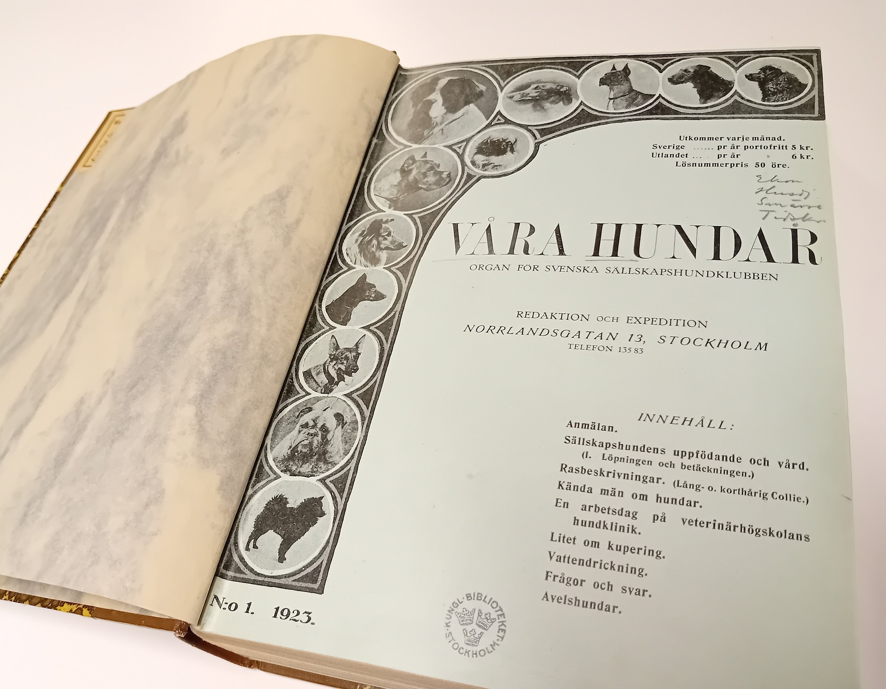 Bilden visar en tidskrift uppslagen på titelsidan, där det står "Våra hundar". I vänsterkanten finns en rad bilder på olika hundar.