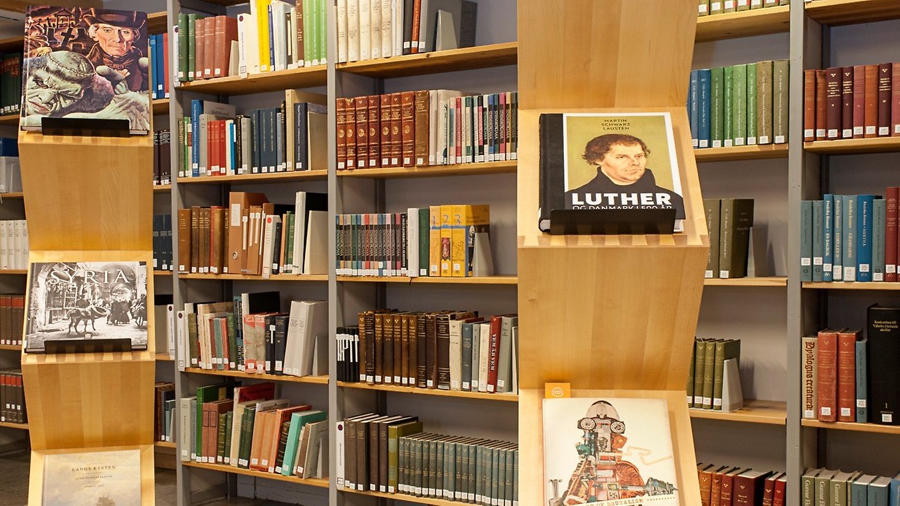 Bookshelves with books