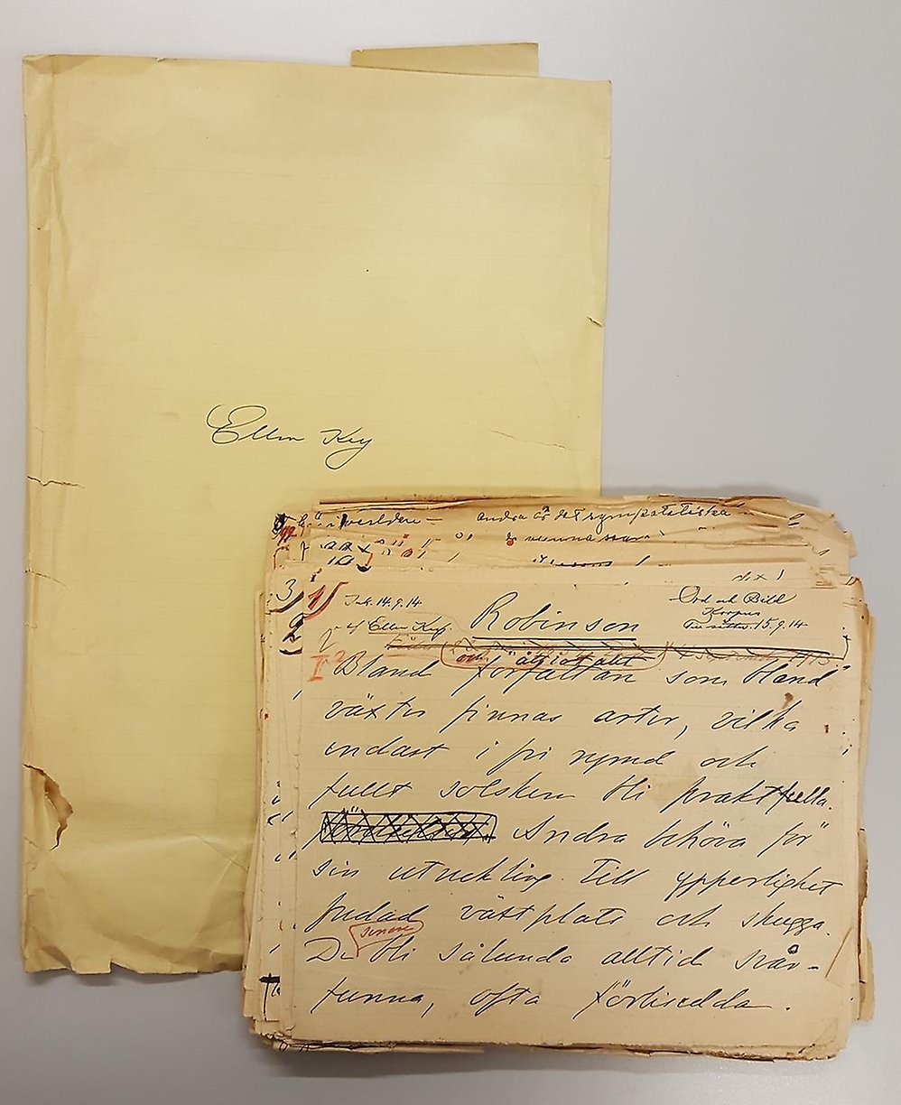 En bunt gulnade papper med handskriven text i bläck av Ellen Key.